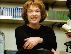 短信免费轰炸网页