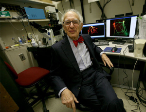 在线短信轰炸测试